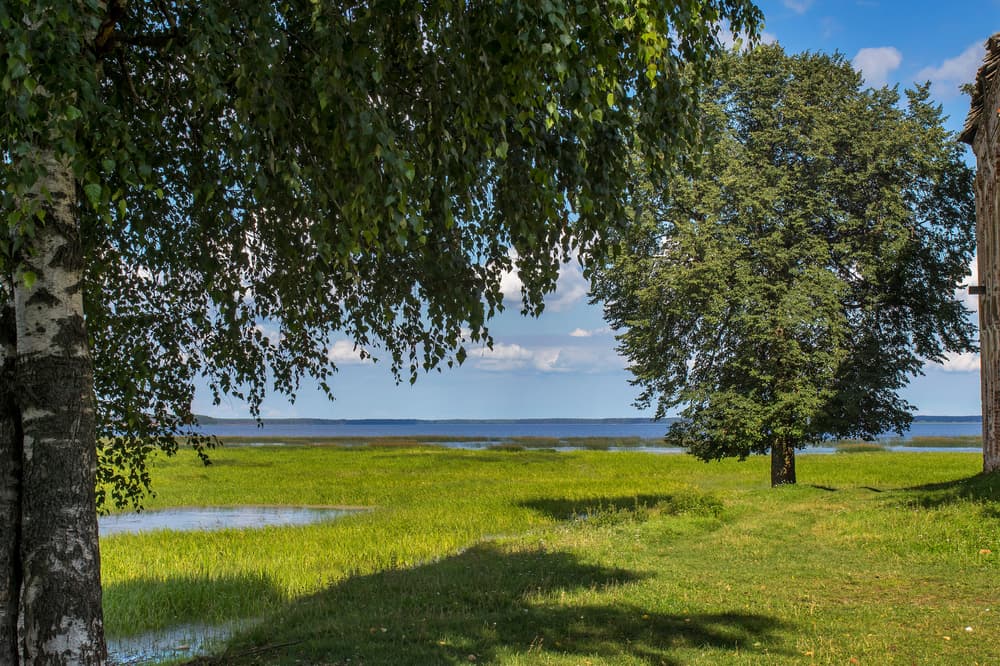 Картинка круиза