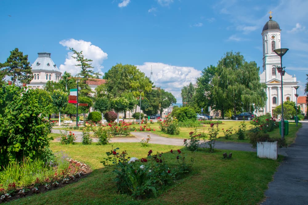 Картинка круиза