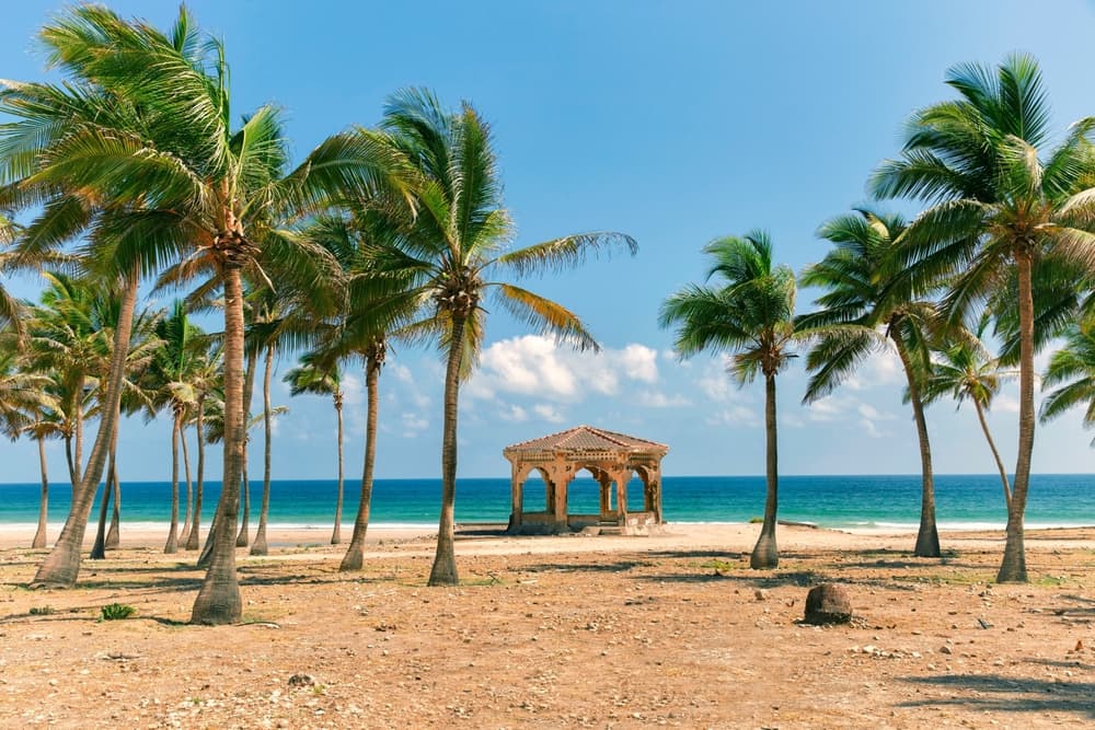 Картинка круиза