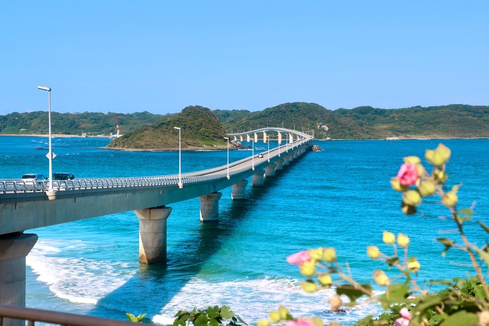 Картинка круиза