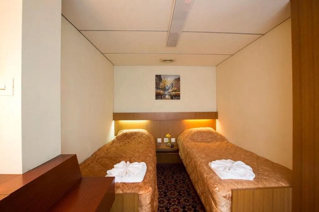 Полулюкс 2 местный Теплохода Александр Пушкин