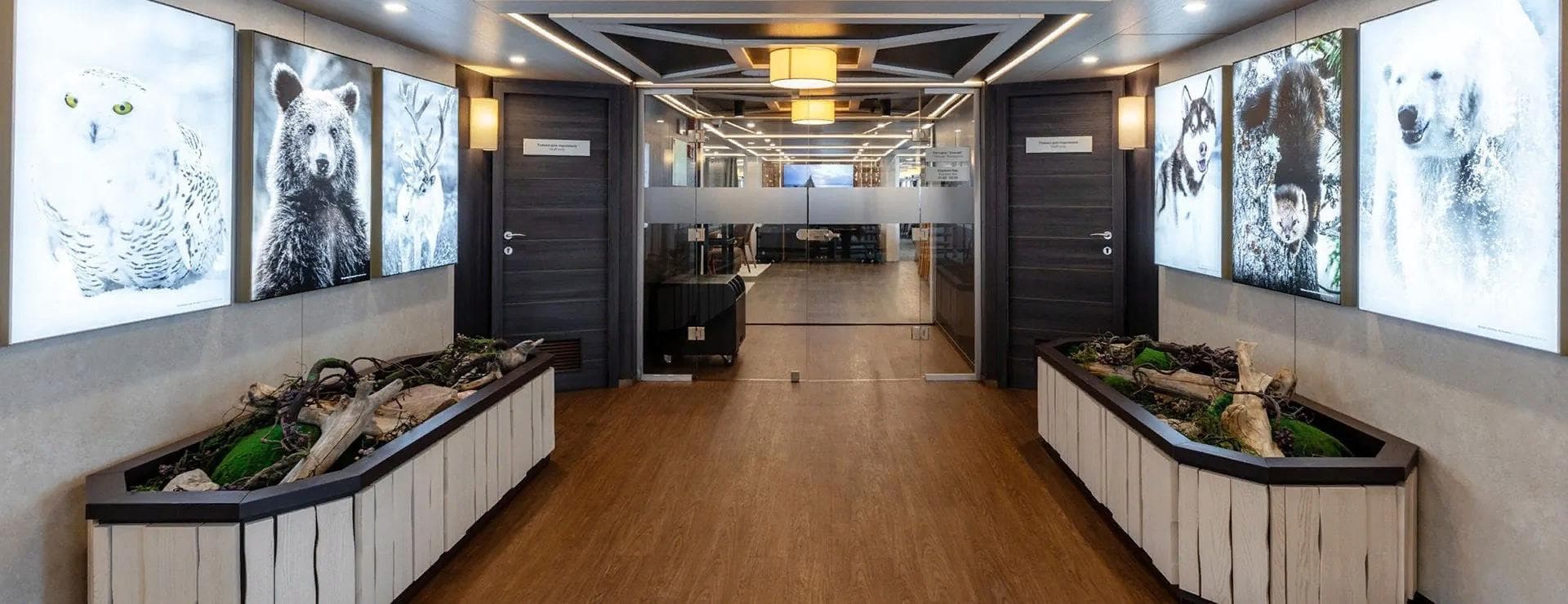 Картинка круиза