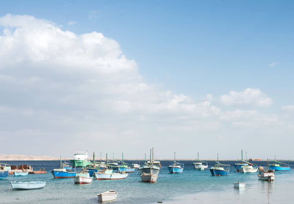 Картинка круиза