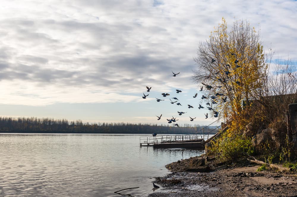 Картинка круиза