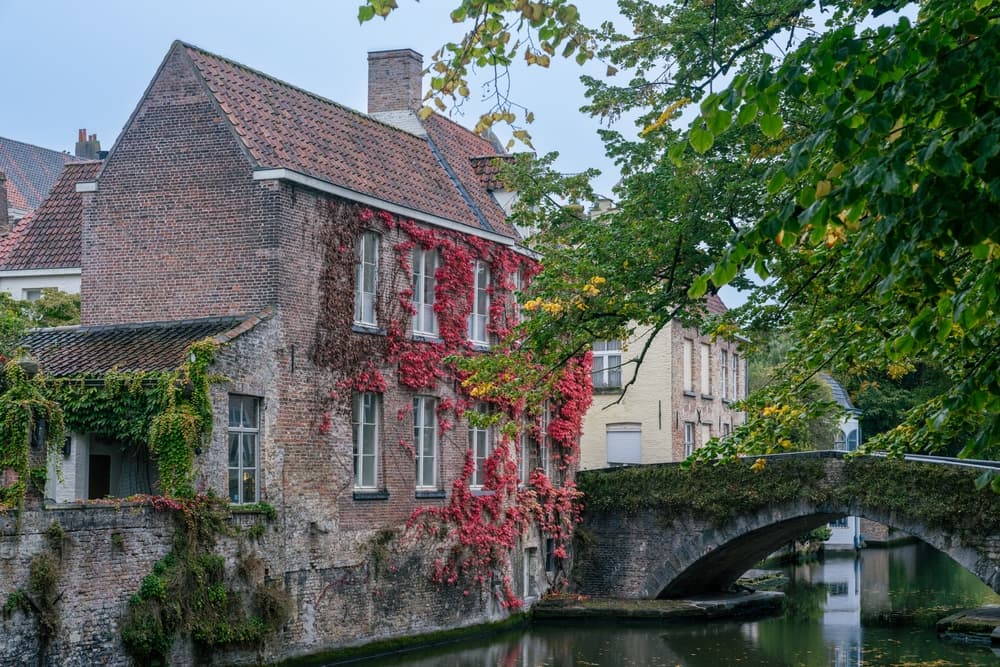 Картинка круиза