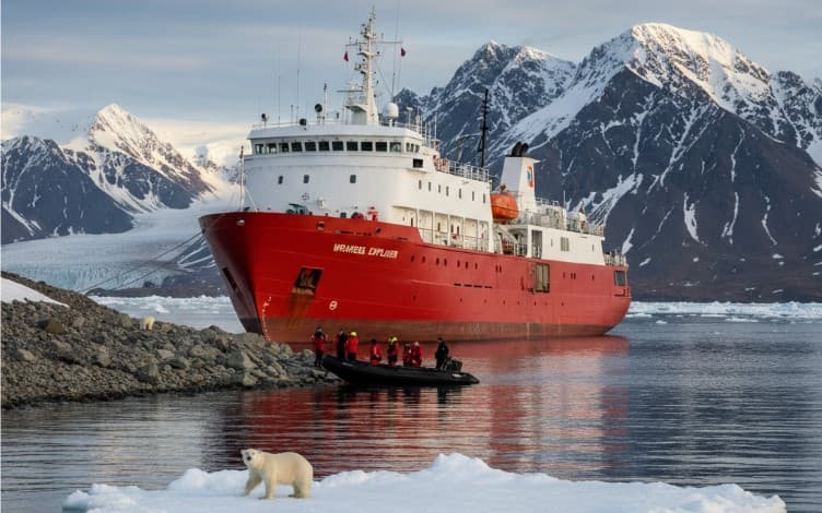 Остров Врангеля: как добраться, что посмотреть